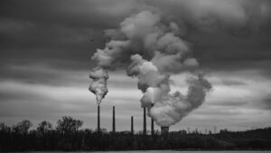 Scopri di più sull'articolo Decarbonization